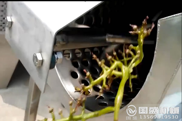 葡萄除梗破碎機