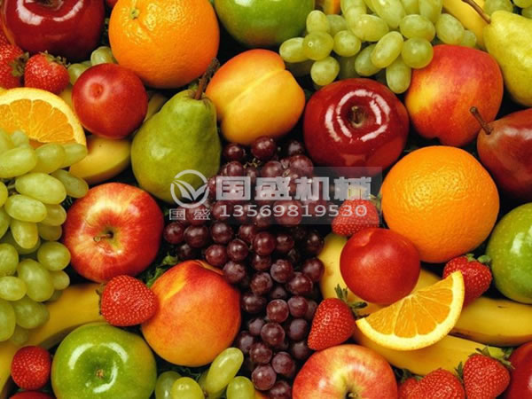 餐飲果蔬91麻豆网址视频處理設備