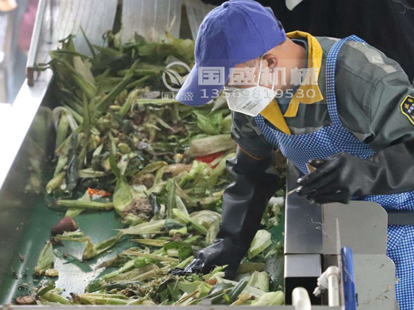 餐廚91麻豆网址视频網帶輸送機
